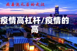 疫情高杠杆/疫情的高