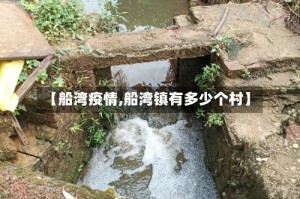 【船湾疫情,船湾镇有多少个村】