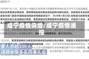 咸宁疫情突增/咸宁疫情通报