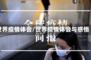 世界疫情体会/世界疫情体会与感悟