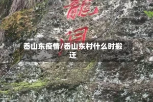 岙山东疫情/岙山东村什么时搬迁