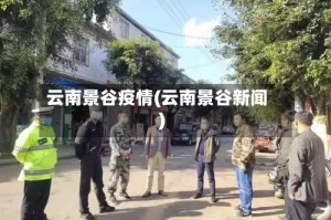 云南景谷疫情(云南景谷新闻)