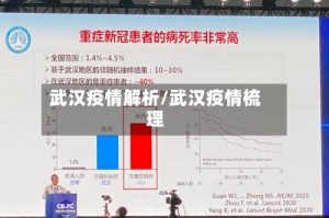 武汉疫情解析/武汉疫情梳理