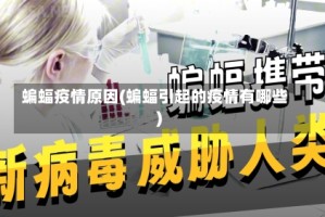 蝙蝠疫情原因(蝙蝠引起的疫情有哪些)