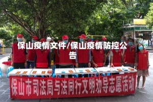 保山疫情文件/保山疫情防控公告