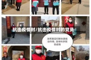 抗击疫情时/抗击疫情时的党员