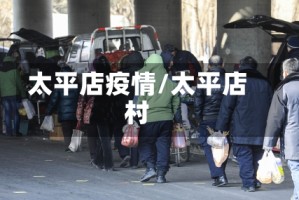 太平店疫情/太平店村
