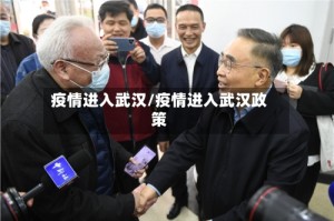疫情进入武汉/疫情进入武汉政策
