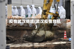 疫情武汉绝境(武汉疫情危机)