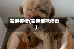 泰迪疫情(泰迪新冠病毒)