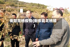 衡阳花桥疫情(衡东县花桥镇)