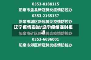 辽宁疫情实时/辽宁疫情实时报道