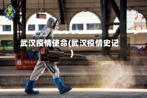 武汉疫情使命(武汉疫情史记)