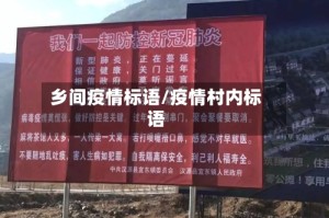 乡间疫情标语/疫情村内标语