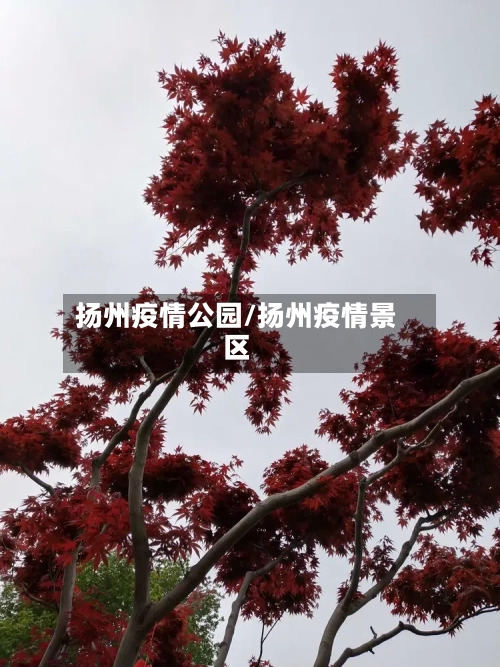 扬州疫情公园/扬州疫情景区-第1张图片
