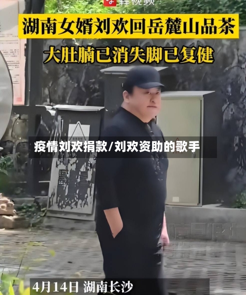 疫情刘欢捐款/刘欢资助的歌手-第1张图片