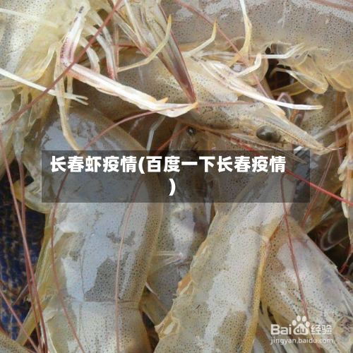 长春虾疫情(百度一下长春疫情)-第2张图片