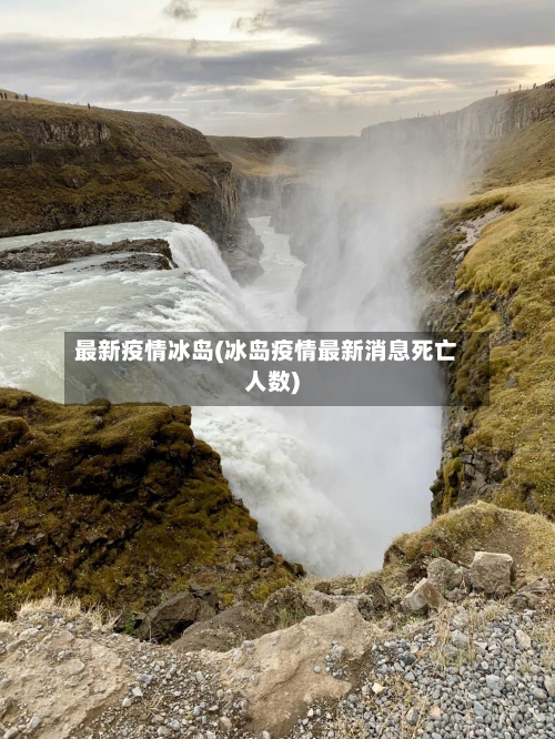 最新疫情冰岛(冰岛疫情最新消息死亡人数)-第1张图片