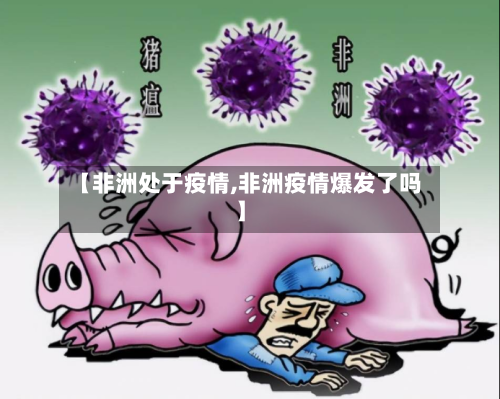 【非洲处于疫情,非洲疫情爆发了吗】-第2张图片