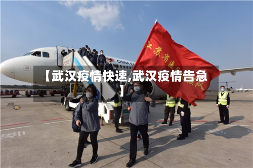 【武汉疫情快速,武汉疫情告急】-第1张图片