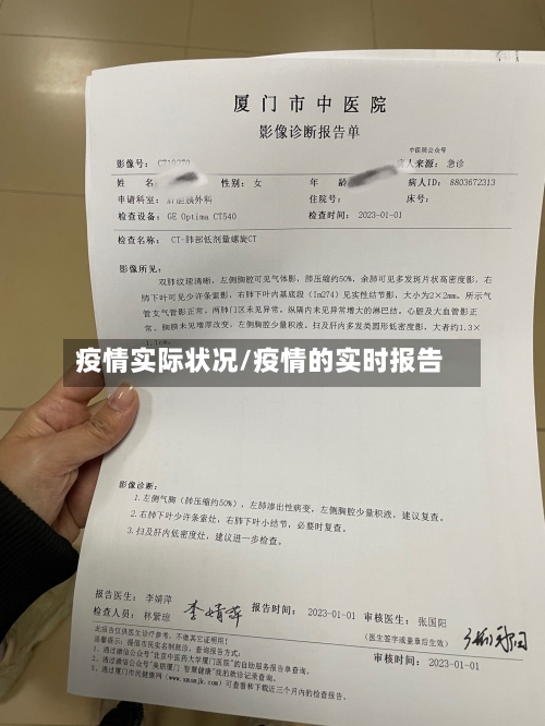 疫情实际状况/疫情的实时报告-第1张图片