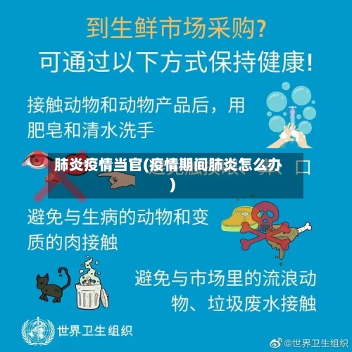 肺炎疫情当官(疫情期间肺炎怎么办)-第2张图片