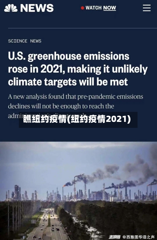 瞧纽约疫情(纽约疫情2021)-第1张图片