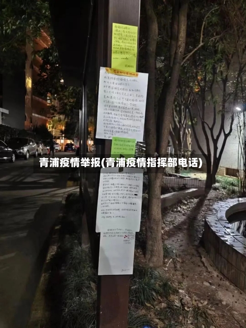 青浦疫情举报(青浦疫情指挥部电话)-第2张图片