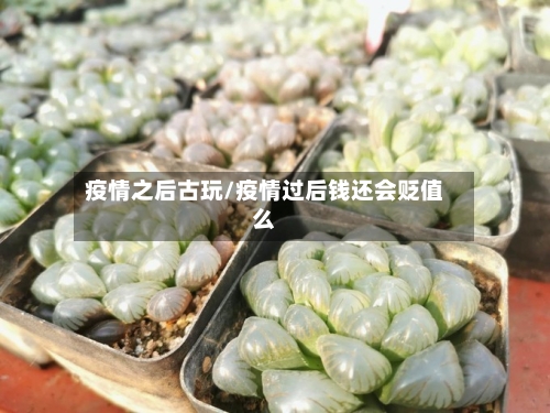 疫情之后古玩/疫情过后钱还会贬值么-第3张图片