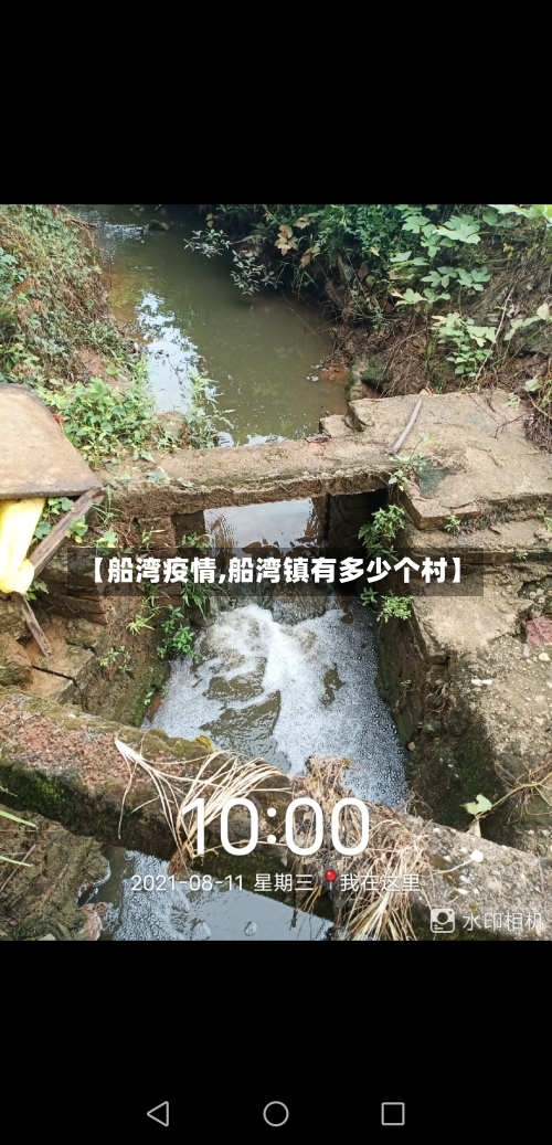 【船湾疫情,船湾镇有多少个村】-第1张图片