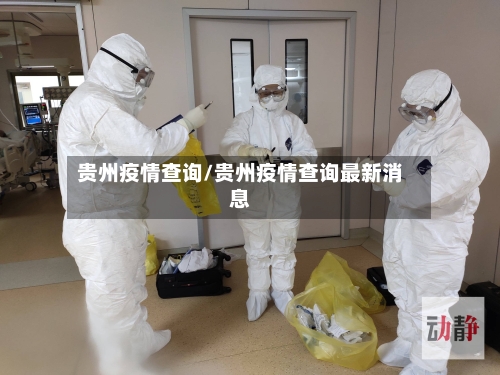 贵州疫情查询/贵州疫情查询最新消息-第2张图片