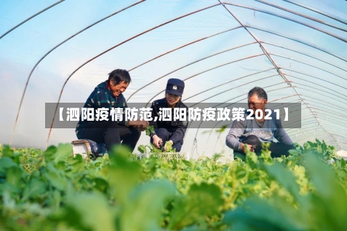 【泗阳疫情防范,泗阳防疫政策2021】-第1张图片