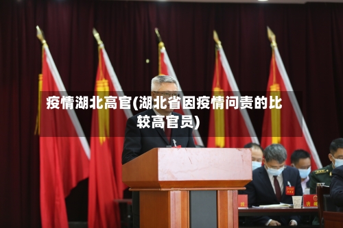 疫情湖北高官(湖北省因疫情问责的比较高官员)-第2张图片
