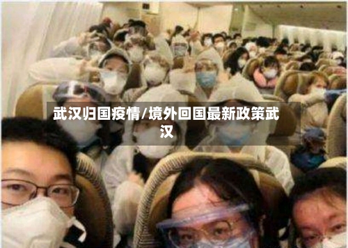 武汉归国疫情/境外回国最新政策武汉-第2张图片