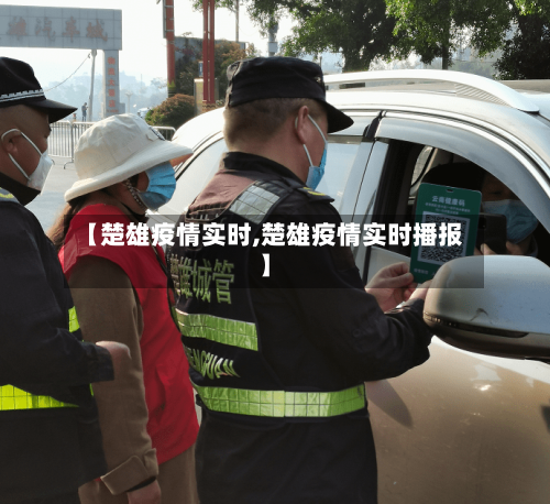 【楚雄疫情实时,楚雄疫情实时播报】-第2张图片