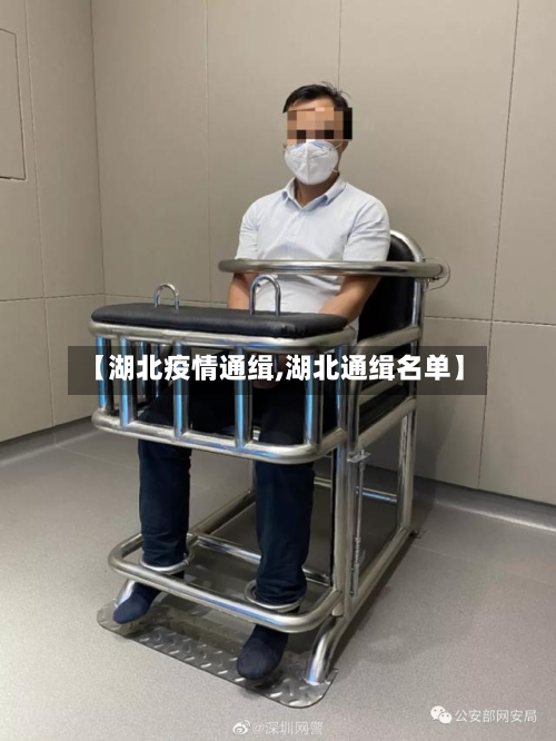 【湖北疫情通缉,湖北通缉名单】-第2张图片