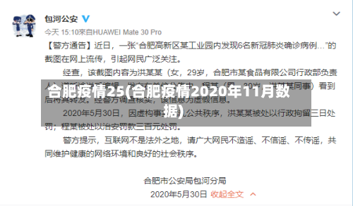 合肥疫情25(合肥疫情2020年11月数据)-第1张图片