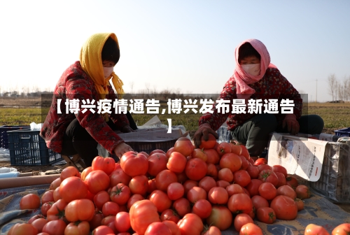 【博兴疫情通告,博兴发布最新通告】-第2张图片