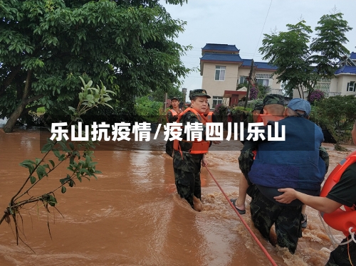 乐山抗疫情/疫情四川乐山-第2张图片