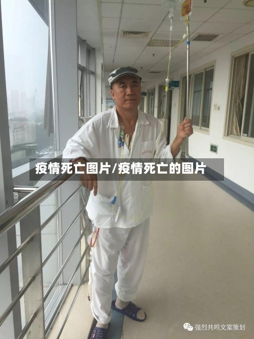 疫情死亡图片/疫情死亡的图片-第1张图片