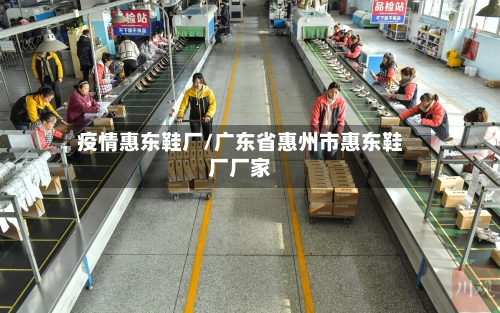 疫情惠东鞋厂/广东省惠州市惠东鞋厂厂家-第1张图片
