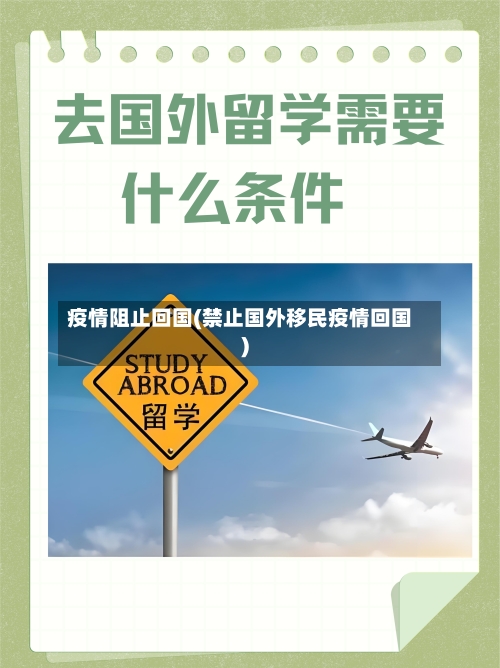 疫情阻止回国(禁止国外移民疫情回国)-第2张图片