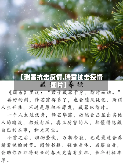 【瑞雪抗击疫情,瑞雪抗击疫情图片】-第3张图片