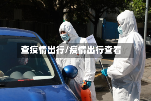 查疫情出行/疫情出行查看-第3张图片