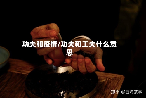 功夫和疫情/功夫和工夫什么意思-第3张图片