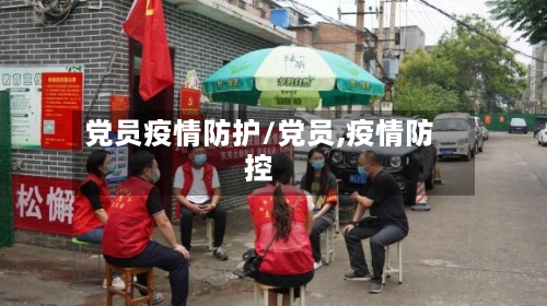 党员疫情防护/党员,疫情防控-第2张图片