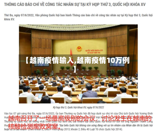 【越南疫情输入,越南疫情10万例】-第3张图片