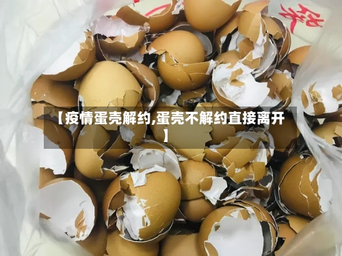 【疫情蛋壳解约,蛋壳不解约直接离开】-第3张图片