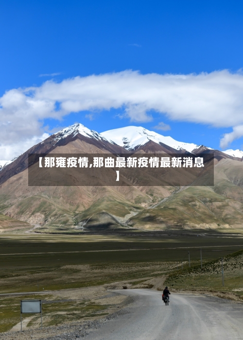 【那雍疫情,那曲最新疫情最新消息】-第2张图片