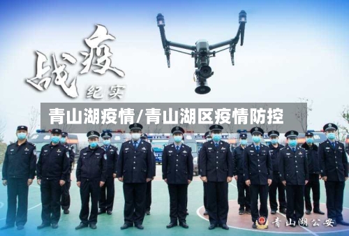 青山湖疫情/青山湖区疫情防控-第3张图片